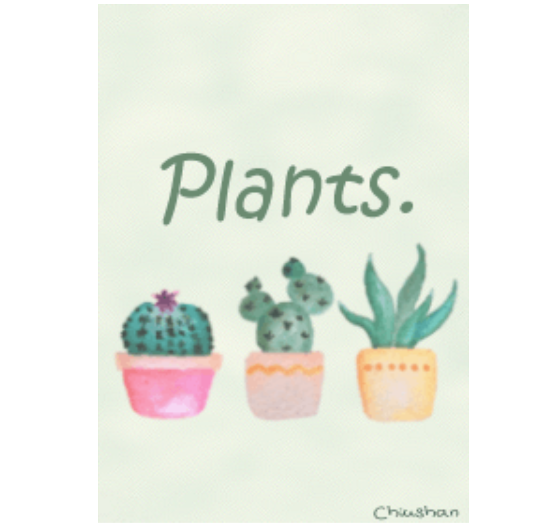 Plants & Watercolor