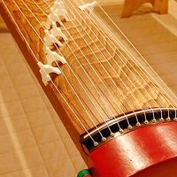 箏曲部、箏曲サークル