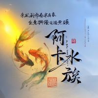 阿卡の水族《沉木、競標、交流》club
