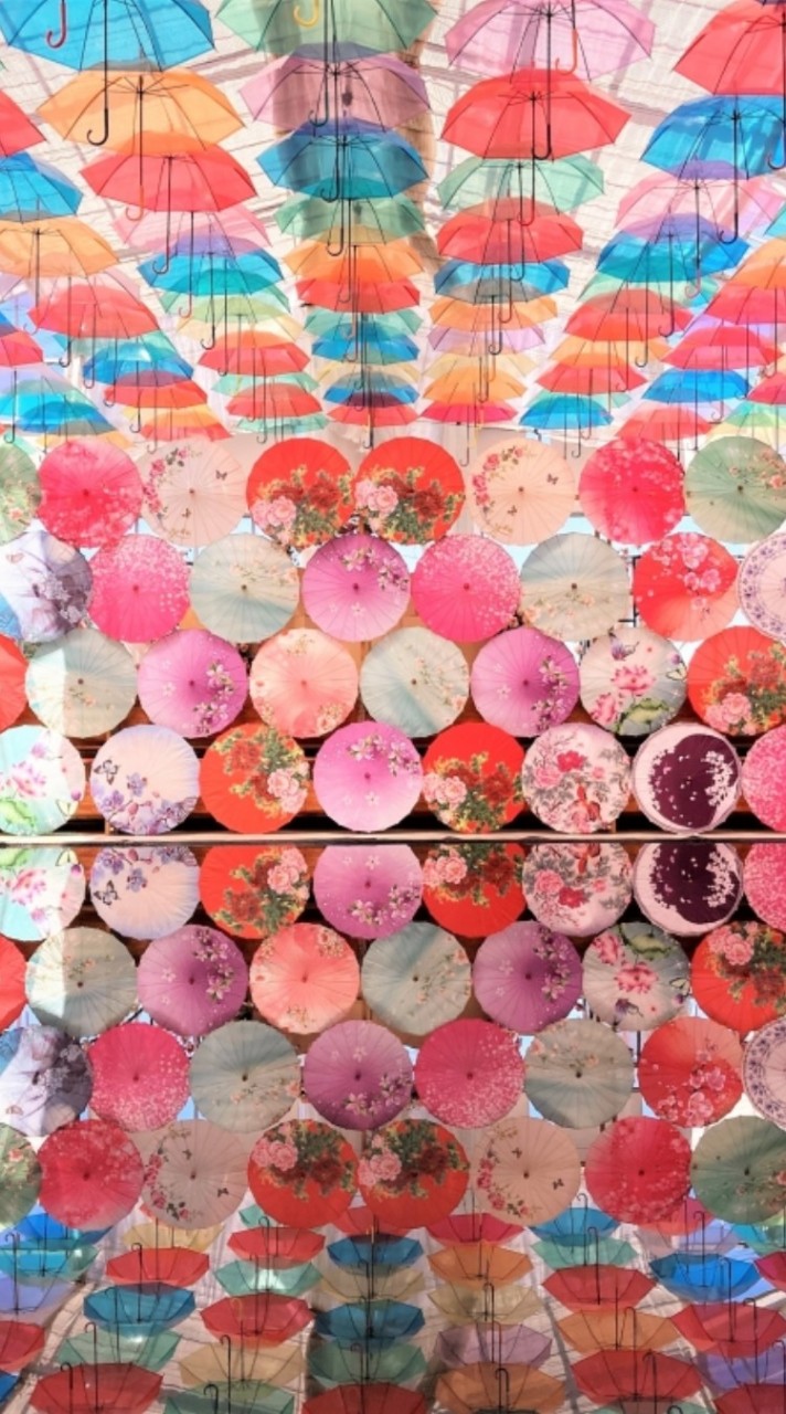 【東北の学生雑談】