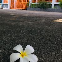 ข่าวสาร ม.ศศิธร 8