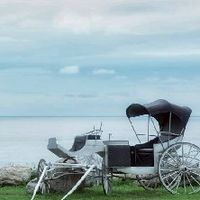 噗浪天（兵）團之風雲再起