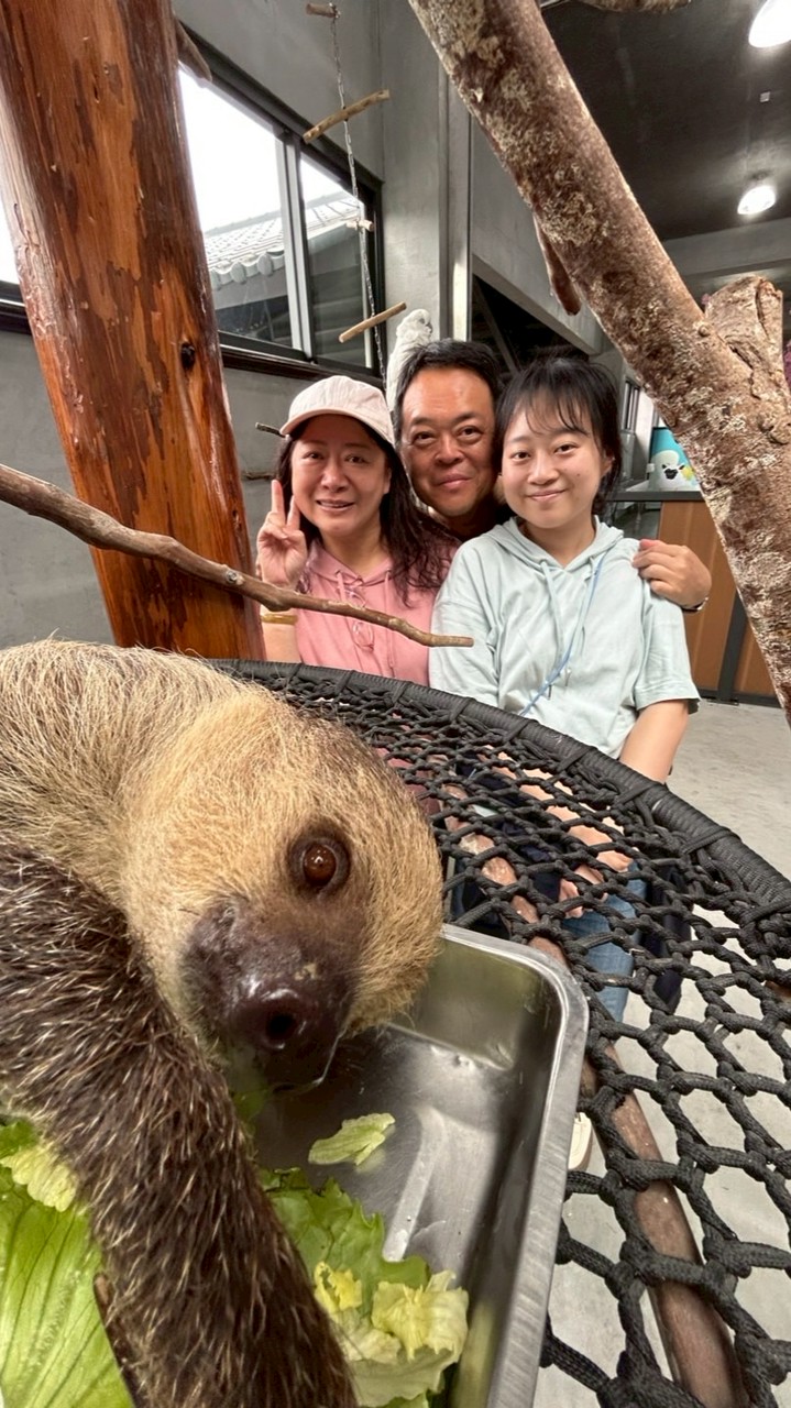 小乖寶家族