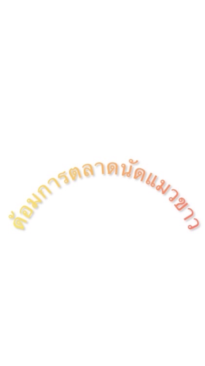 🌟✨ด้อมการตลาดแมวขาว🌟✨