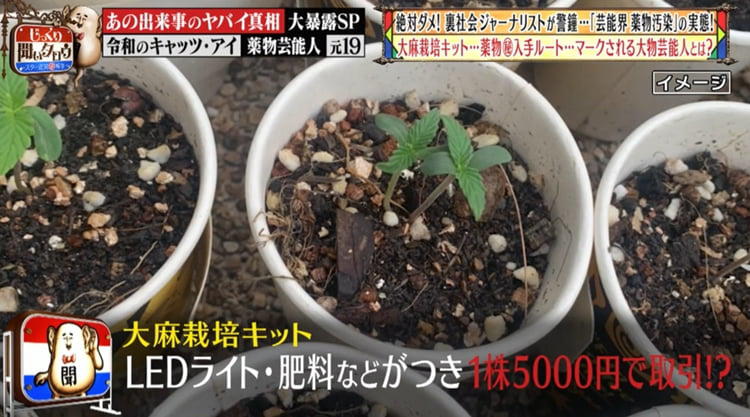 名倉潤の共演者も 薬物使用疑惑のかかる大物芸能人