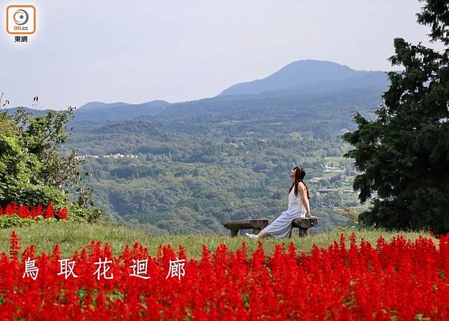 送花不如賞花 西日本最大花迴廊 On Cc 東網 Line Today