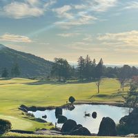 平日⛳️ゴルフ仲間男女募集⛳️茨城　早い時間帯で安いとこメイン！