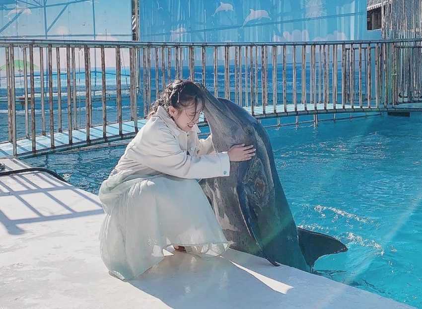 台灣水族館、海洋館、海生館水族館, 桃園市中壢區春德路xpark, 北部水族館, 台灣水族館, 桃園青埔水族館, 台中三井水族館, 桃園水族館表演時間, 桃園水族館地址, 台中xpark, 台灣最大水族館, 魚田水族館, 藍海水族館, 熱帶魚水族館, 陽光空氣水族館, 全台水族館, 中部水族館, 南部水族館, 東部水族館, 快樂水族館, 桃園xpark一日遊, 雷迪森酒店水族館, 水族館台灣, 桃園水族館一日遊, xpark門票優惠2021, 七彩世界水族館, 新竹xpark, 周天央水族館, 大洲水族館, xpark台中, cozzibluxpark, 珊瑚水族館, 桃園青埔xpark, 水母缸推薦, 桃園青埔xpark水族館, 桃園青埔xpark都會型水生公園門票, 線上水族館, 桃園海生館xpark, 水世界水族館, 海龍王水族館, 水母缸設計, 宏偉水族館, 如魚得水水族館, 桃園區水族館, 亞太水族館, xpark夜宿價格, 藍箱水族館, 鄉井水族館, xpark優惠門票, 景觀水族館, 桃園都會型水生公園, xpark夜宿kkday, 桃園水族館xpark附近美食, 仙鑽水族館, 水生館桃園, 台灣企鵝水族館, 瘋狂水族館, 春日水族館, 澎湖水族館相片, 北部水族館推薦, 桃園青埔xpark都會型水生公園, 桃園青埔海洋館, 賜海水族館, xpark水族館停車, 海世界水族館, 七彩水族館, 桃園水族館國旅券, 泉源水族館, 桃園xpark營業時間, 農業科技園區水族館, 桃園青埔海生館, 桃園景點水族館, 宏祥水族館, 珊瑚海水族館, 懶人水母療癒缸, 水族館水草, 水族館北部, 東森水族館, 北部最大水族館, 金鑫水族館, 澎湖水族館票券資訊, 台灣最大的水族館, 桃園一日遊xpark, 桃園水族館水母, 紅龍水族館, 桃園xpark都會型水生公園, 臺灣水族館, 水族館石頭, 北台灣水族館, 水寶水族館, 桃園青埔水族館門票, 金洋水族館, 北大水族館, 水精靈水族館, 草影水族館, 桃園xpark票價, 和逸飯店桃園館xpark, 桃園青埔水生公園, 狂熱水族館, 台灣水族館推薦, 桃園水生館門票, 台灣最大海洋館, 桃園xpark門票優惠, 澎湖水族館kkday, 桃園海洋博物館門票, 桃園xpark訂票, 桃園水族館介紹, 桃園華泰名品城水族館, 水草水族館, 桃園水族館過夜, 桃園海洋館xpark, 桃園青埔水生館, 水族館批發, 透明水族館, 桃園水族館紀念品, 桃園xpark地址, 桃園水族館場次, 桃園水族館表演, klook桃園水族館, 夜宿水族館屏東, 水族館殺菌燈, 家庭水族館, 水族館常見水草, 桃園新埔水族館, 珊瑚海水族館剛海企業有限公司, 北台灣海生館, 國旅券桃園水族館, 宏洋水族館, 西高地水族館, 台灣水族館住宿, 桃園水生, 澎湖水族館夜宿價格, 桃園水族住宿, 桃園市xpark, 桃園水族館優惠票, 桃園買一送一xpark, 桃園水族館地圖, 桃園水生公園門票, xpark都會型水生公園門票優惠, 桃園青埔都會型水生公園, 桃園海洋館票價, 水族館商品, xpark水族館學生票, 桃園水族世界, 桃園水族館套票, 海派珊瑚水族館, 桃園水生公園xpark, 桃園都會水族館, 桃園水族館的門票, 台灣桃園水族館, 海洋生物館桃園, xpark桃園門票, 桃園市青埔水族館, 桃園水族舘, 桃園水族館週邊景點, 美麗海水族館附近住宿, 桃園青埔xpark, 水族館攻略,