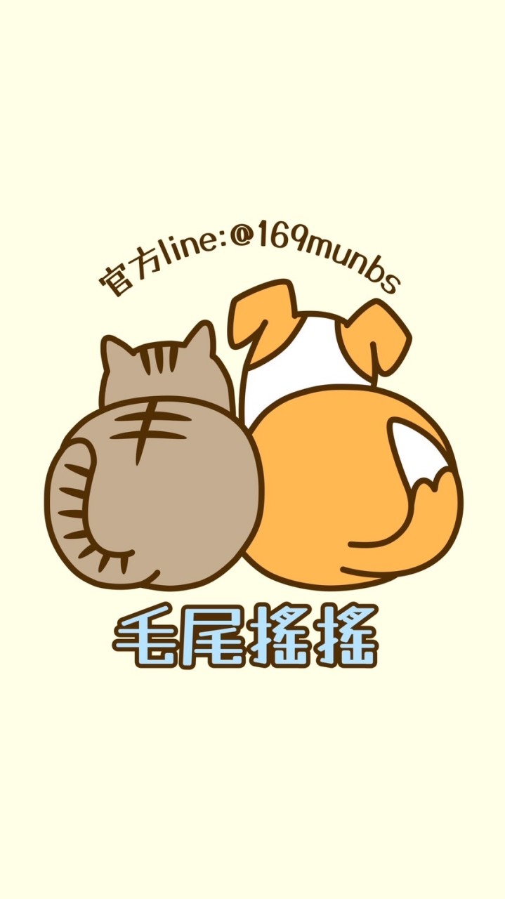毛尾搖搖寵物生活用品