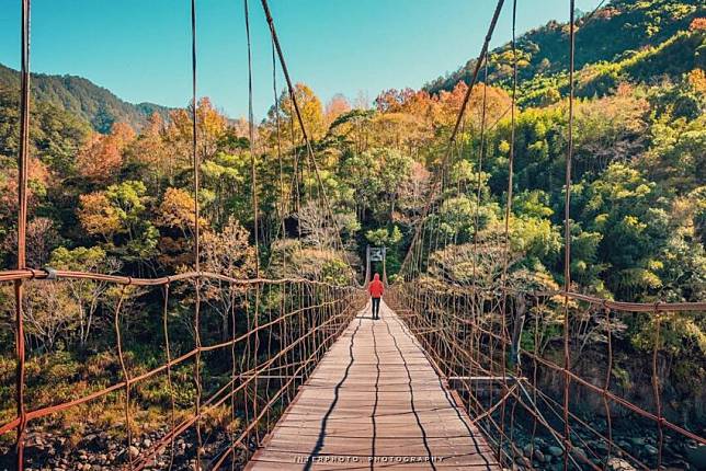 圖片授權：IG @phiteao