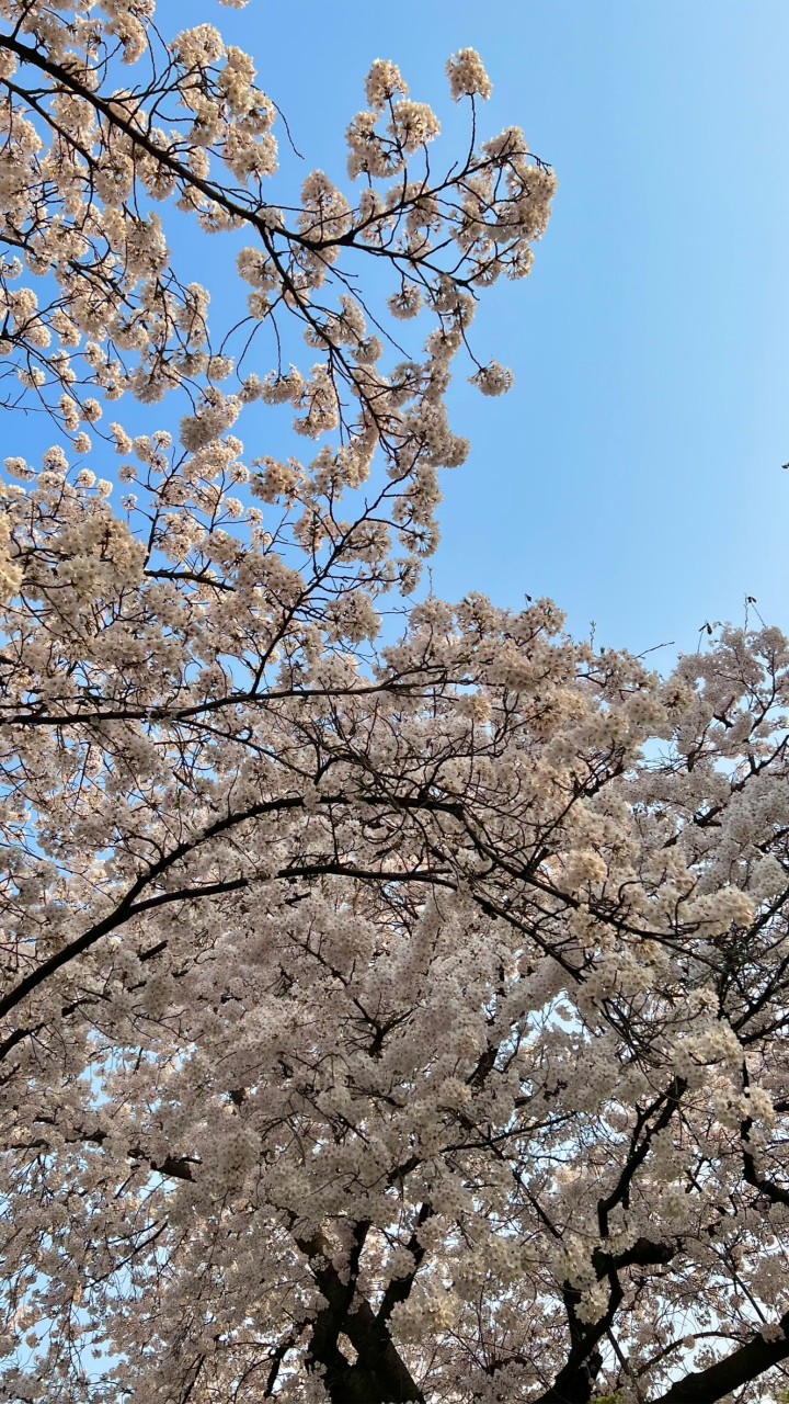 April韓國連線🇰🇷
