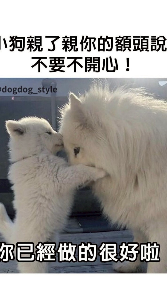 墨央找妮