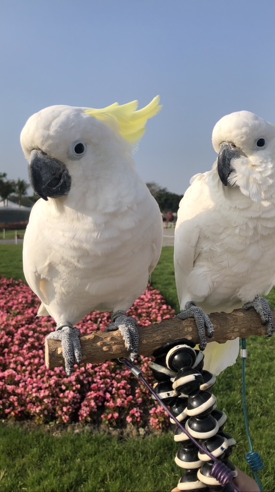 波波鳥園二號倉儲