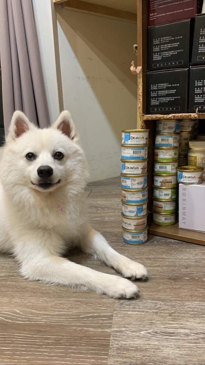 Y.M寵物商品｜寵物食品｜寵物用品團購｜犬貓罐頭飼料