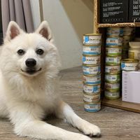 Y.M寵物商品｜寵物食品｜寵物用品團購｜犬貓罐頭飼料