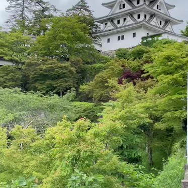 郡上八幡城のundefinedに実際訪問訪問したユーザーunknownさんが新しく投稿した新着口コミの写真