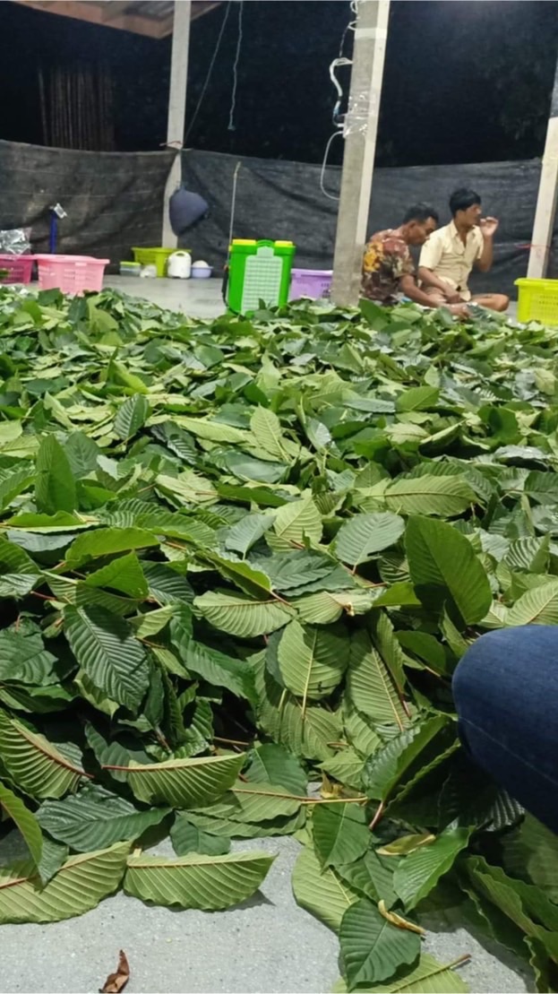 สวนกระท่อมท่ามะปริงจังหวัดชุมพร