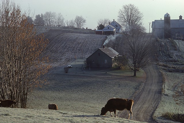 人気満点 ターシャ テューダーが愛した写真家 バーモントの片隅に暮らす Www Cahnandsamuels Com