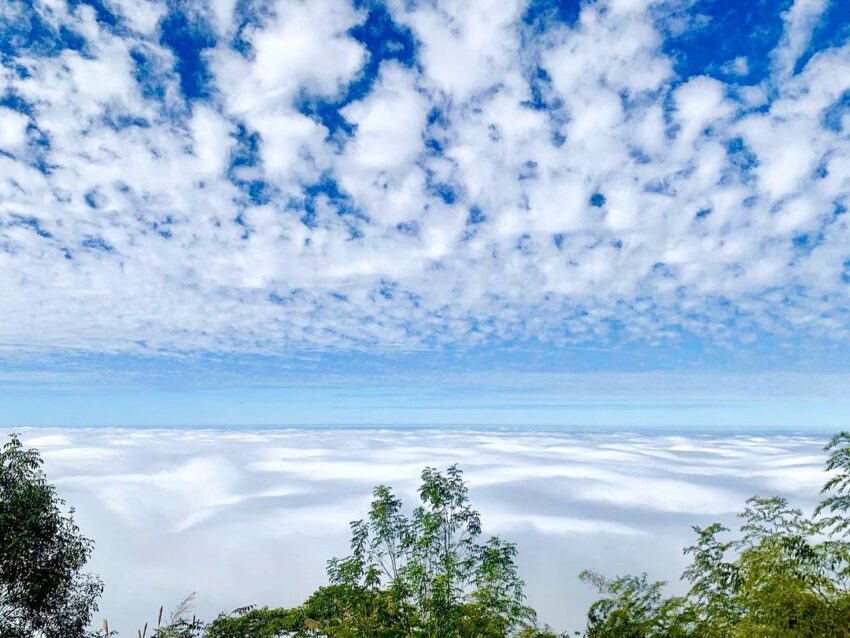 梅山太平老街｜嘉義太平雲梯,太平雲梯最有名的就是「雲海」，每年冬天時雲海、雲瀑壯闊驚人；或是在此欣賞日落的晚霞也是非常美麗；以及夜晚太平雲梯也會點燈，就像一段銀河閃爍著耀眼的光芒。