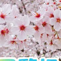 3丁目町内会。