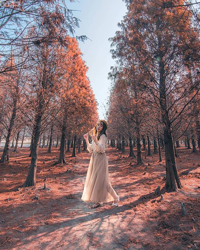 （圖片來源IG／@bb211019）