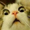 นัดเจอ หาเพื่อน แอบแซ่บ 18+