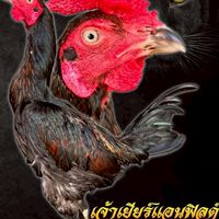 ซุ้ม ส.ช้างชนะ