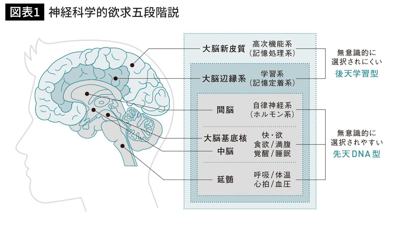 トップアスリートが 1日1食 と決めている脳科学的な理由