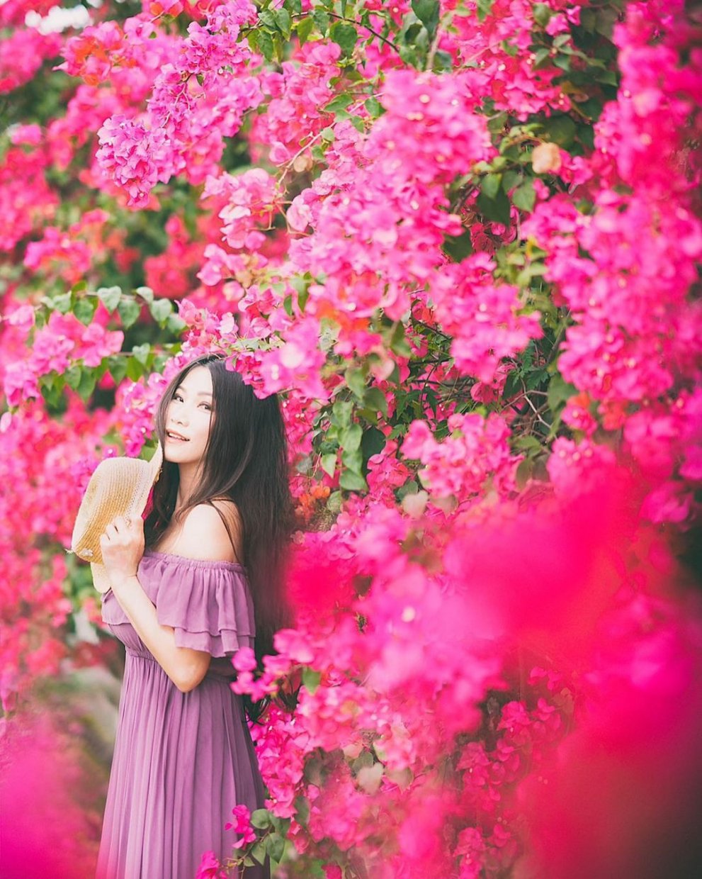 全台賞九重葛花景點推薦｜追尋九重葛花，來趟賞花住宿之旅