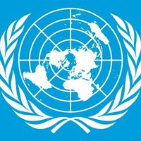 安保理決議三三四号（旧国家運営オプ）