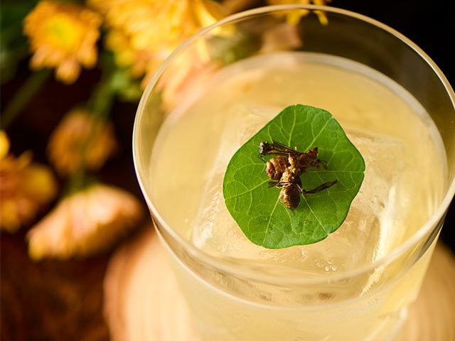 大人女子が バー入門 するならココ 気軽なのにお洒落な東京のバー 東京カレンダー