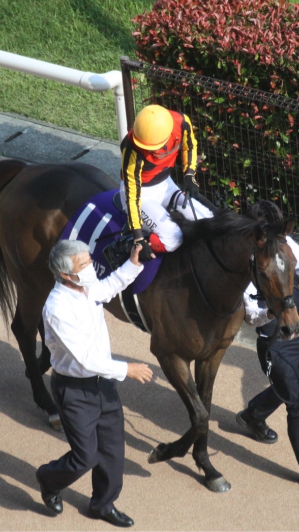 OpenChat 競馬　雑談チャット