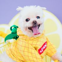 蛤嬤在Purr🐾寵物商城🐶🐱🐰🐭
