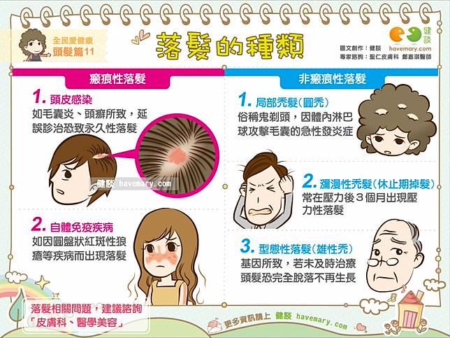 落髮的種類 全民愛健康頭髮篇11 健談網 Line Today