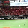 野球ファンが集まるみんなで雑談会
