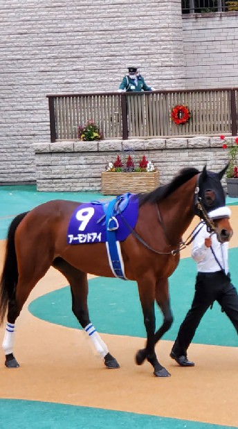 30代40代50代 女性限定の競馬【Keiba】チャット🐴のオープンチャット