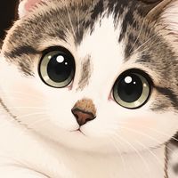 🩵🏠阿貓仔的宇宙🐈💕