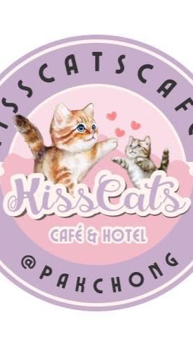 Kiss catsข้าวกล่อง
