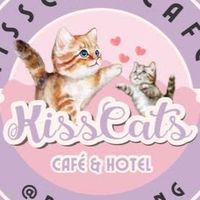 Kiss catsข้าวกล่อง