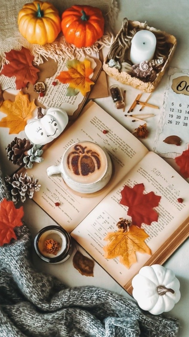 🕊🍀多摩・神奈川🍀🕊️東京都下❁⃘*.ﾟCafe☕*room❁¨̮around1970❁¨̮1980❁¨̮