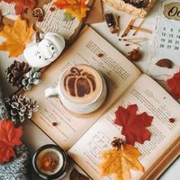 🕊🍀多摩・神奈川🍀🕊️東京都下❁⃘*.ﾟCafe☕*room❁¨̮around1970❁¨̮1980❁¨̮