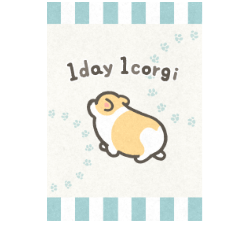 1day1corgi