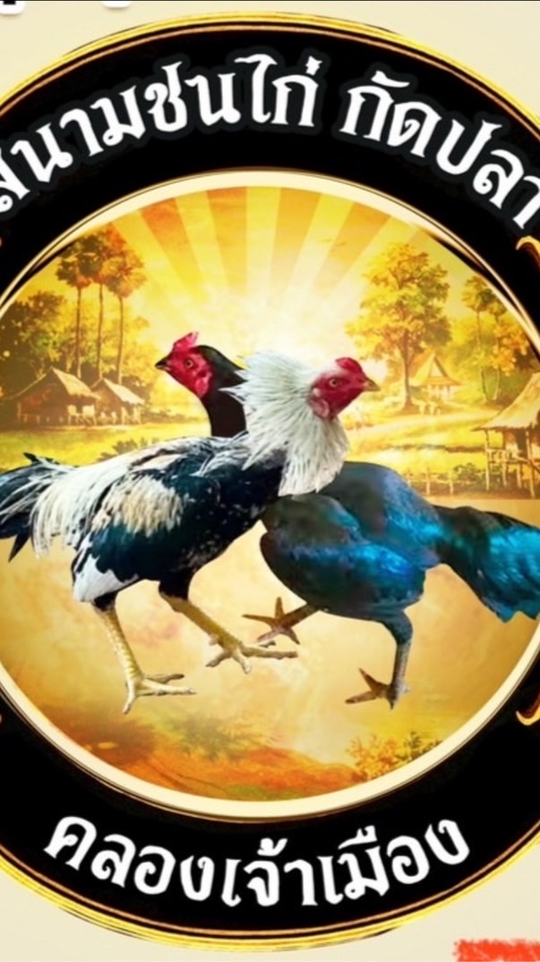 สนามชนไก่คลองเจ้าเมืง