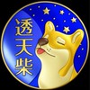 台南換屋🟦透天柴