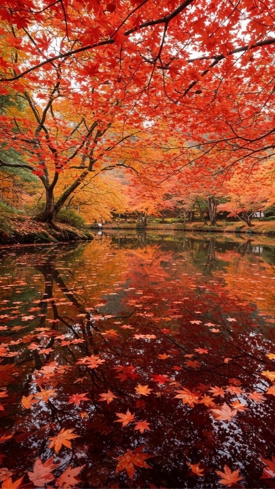 ❤️ラブライブ愛好会❤️