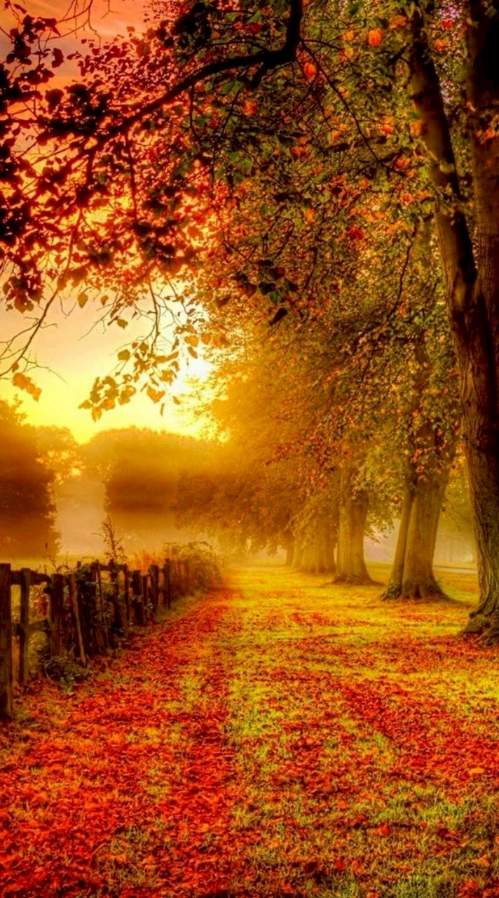 メンタルヘルスのライブトーク部屋へようこそ