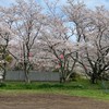 メンタルヘルスのライブトーク部屋へようこそ
