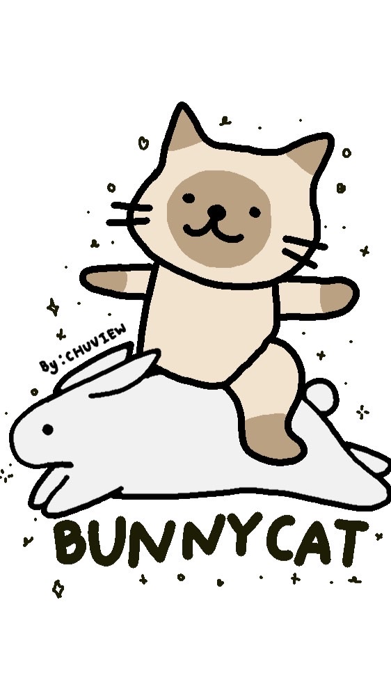BUNNYCAT🧈🌟
