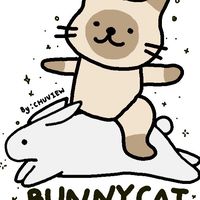 BUNNYCAT🧈🌟