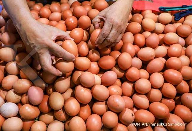 Harga Telur Ayam Sampai Rp 24 000 Kg Tercatat Di 3 Daerah Ini Kontan Co Id Line Today